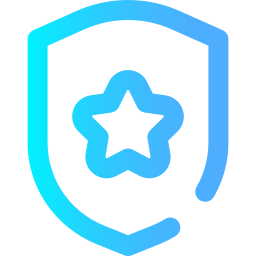 shield icon