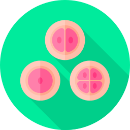 Cells icon