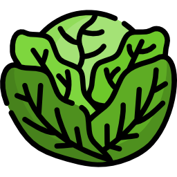 Cabbage icon