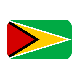 guyana icon