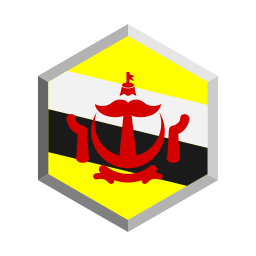 brunei icono