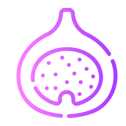 Fig icon