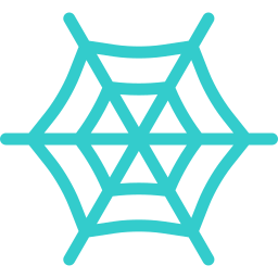 Spiderweb icon