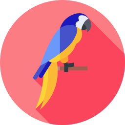 コンゴウインコ icon