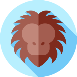 Golden lion tamarin icon