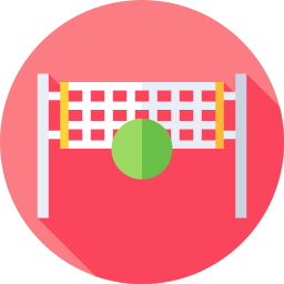 Volley icon