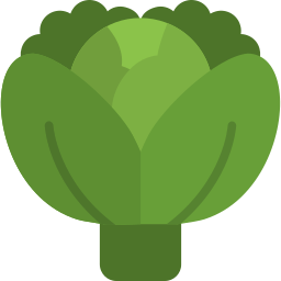 Cabbage  icon