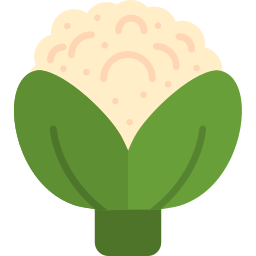 Cauliflower icon