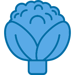 Cauliflower icon