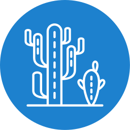 cactus icono