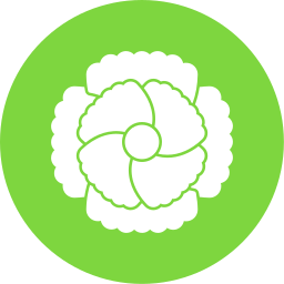 Carnation icon