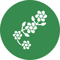 Floral design icon