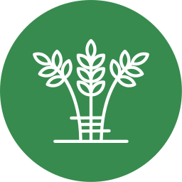 ernte icon