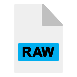 archivo raw icono