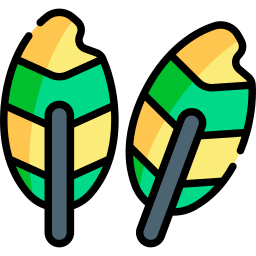 Feathers icon