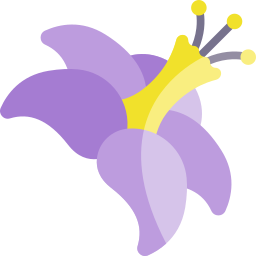 Цветок иконка