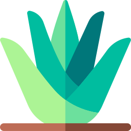 agave icona