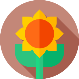 Sunflower icon