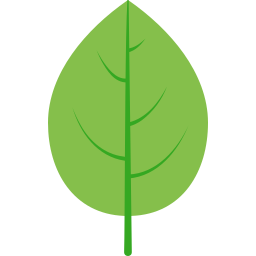 folha verde Ícone