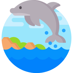 Dolphin icon