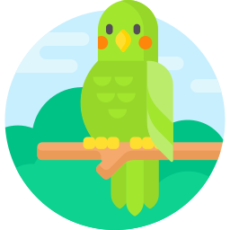 Bird icon