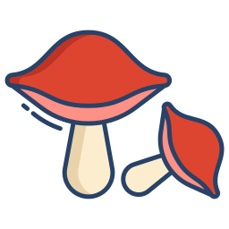 champignon Icône