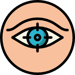 vision icon