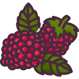 framboise Icône