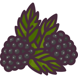 brombeere icon