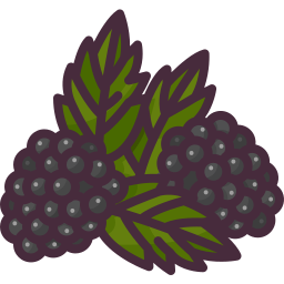 Blackberry icon