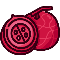 cantaloup-melone icon