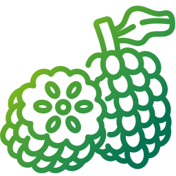 Custard apple icon