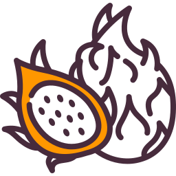 Dragon fruit icon