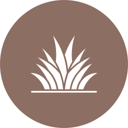 Grass leaves icon