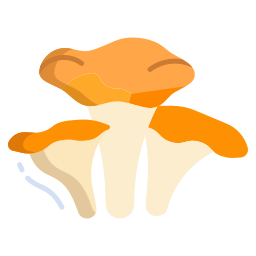 Mushroom icon