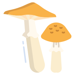 Mushroom icon