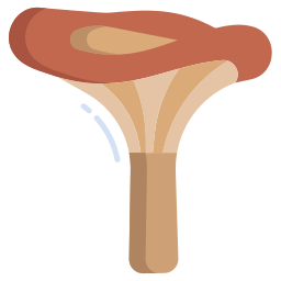 paddestoel icoon