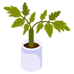 Flower Pot icon