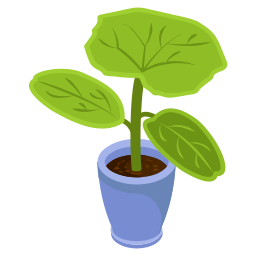 Flower Pot icon