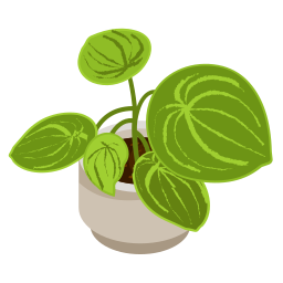 Flower Pot icon