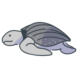 schildpadden icoon