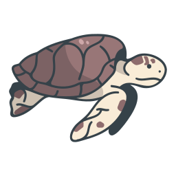 schildpad icoon