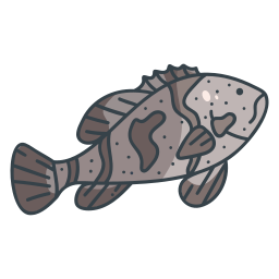 Fish icon