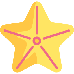 estrella de mar icono