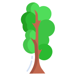 Tree icon