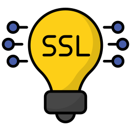 ssl icon