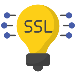 Ssl icon