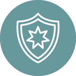 shield icon