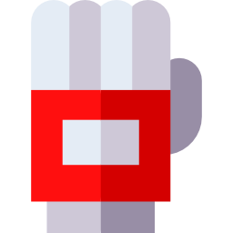 Gloves icon