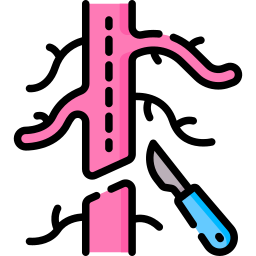 Vascular surgery icon